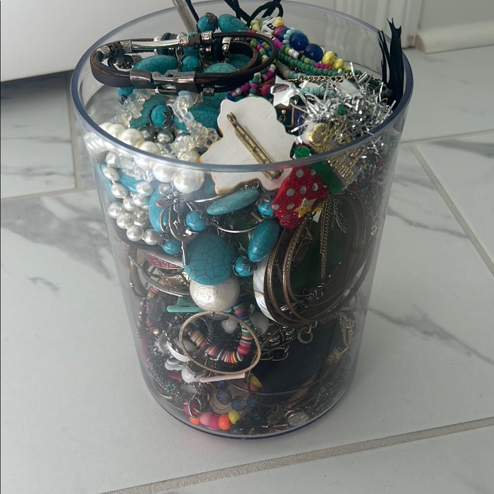 Assorted Jewelry Collection in Clear Container